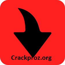 Tomabo MP4 Downloader Pro 4.11.2 Crack With License Key