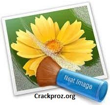 Neat Video Pro 5.5.6 Crack Plus License Key Full Download 2024