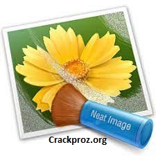 Neat Video Pro 5.5.6 Crack Plus License Key Full Download 2024